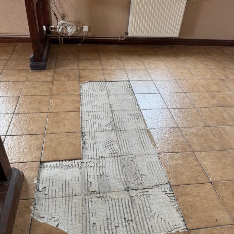 Chantier à Vendenheim Lingolsheim 0